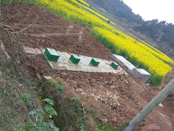建設美麗鄉(xiāng)村污水處理現場1.jpg